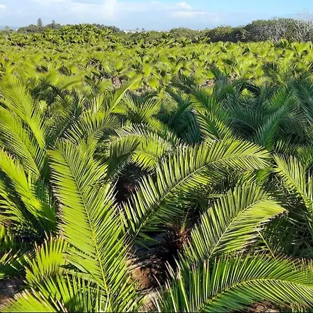Palmeraie Skhirat 2 Extérieur photo