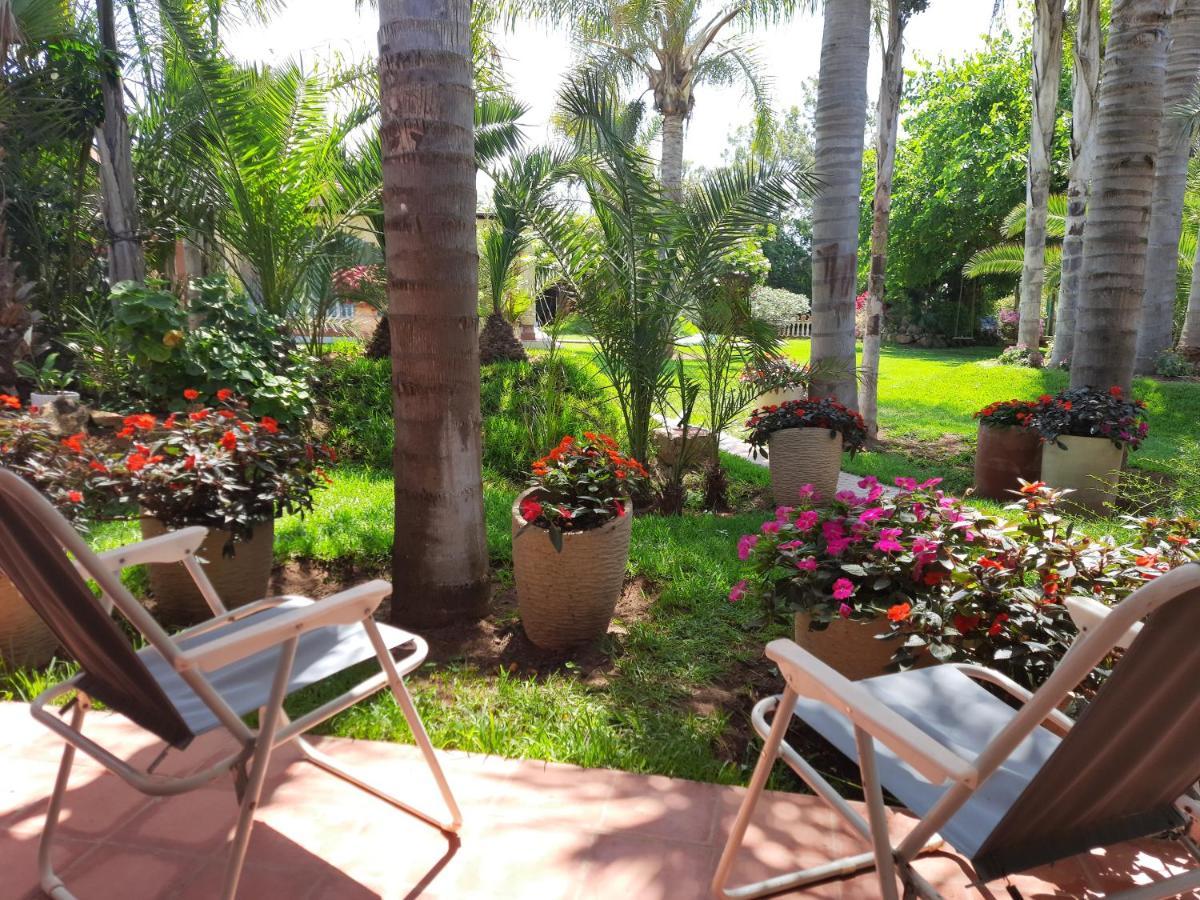 Hébergement de vacances Palmeraie 2